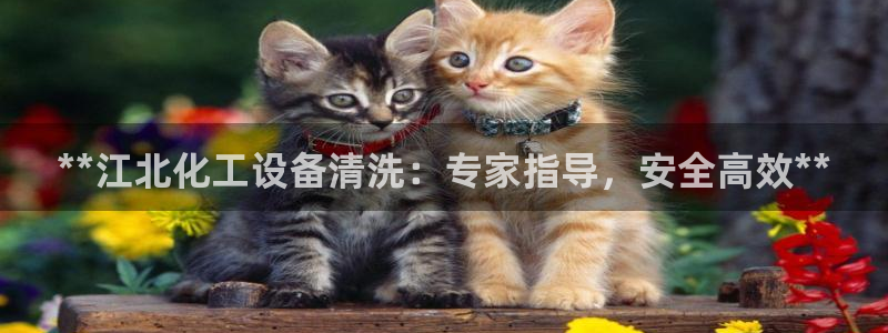 新航娱乐app最新版本更新内容介绍