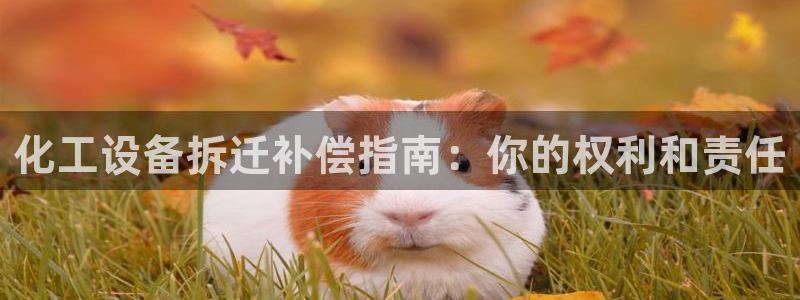 新航娱乐飞.3.3.4.8.2新航娱乐.可以吗.长久.中国