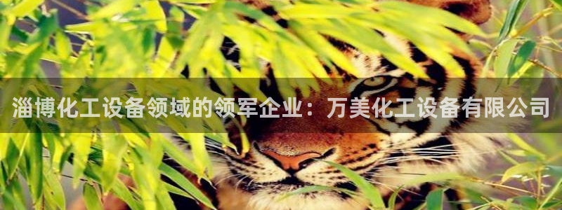 新航娱乐的股东名单和背景介绍