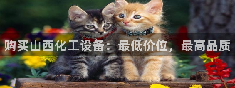 新航娱乐的创始人是谁啊