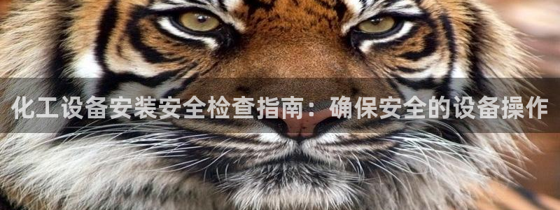 新航娱乐属于什么级别