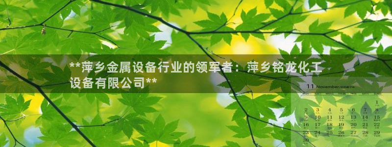 新航娱乐APP的最新版本更新内容