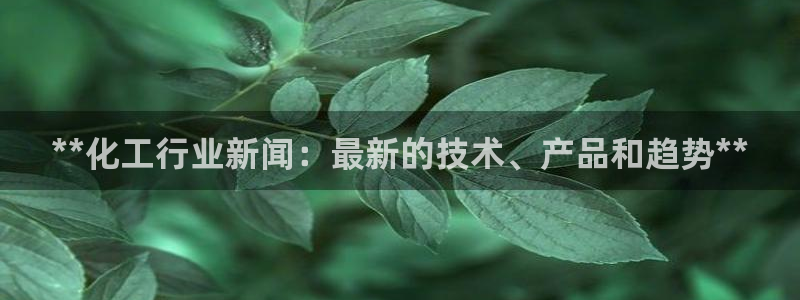 新航娱乐的创始人简介资料
