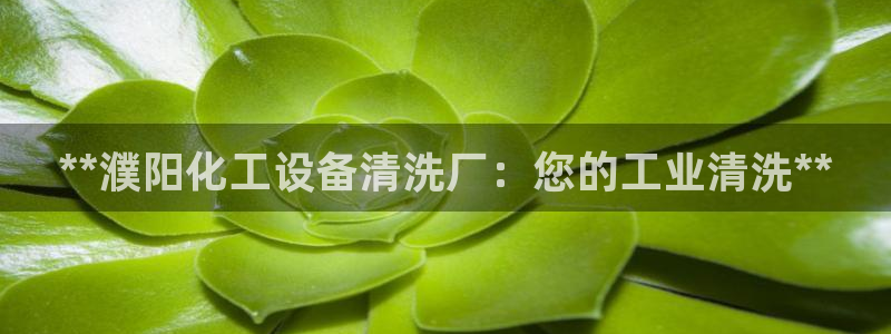 新航娱乐总代理是谁