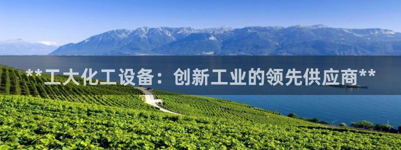 新航娱乐app最新版本更新内容介绍：**工大化工设