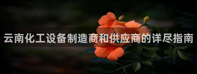 新航娱乐app最新版本更新内容介绍大全