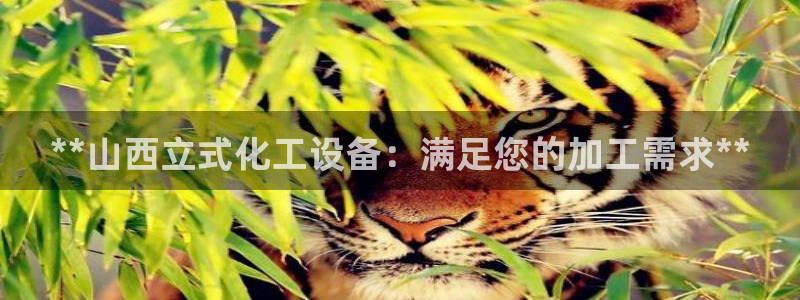 新航娱乐公司扣费流程详解图表：**山西立式化工设备