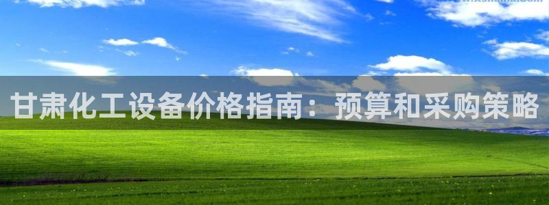 新航娱乐平台用户评价及反馈