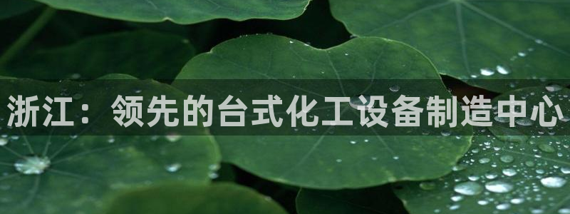 新航娱乐公司扣费流程详解表