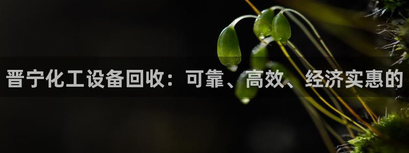 新航娱乐app官方免费下载安装