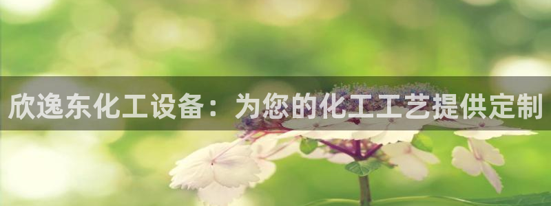 新航娱乐的创始人简介资料