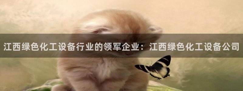 新航娱乐的会员权益与保障