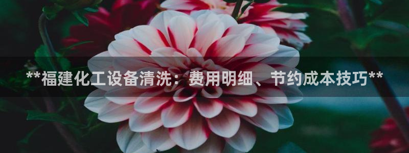 新航娱乐旗下艺人名单表