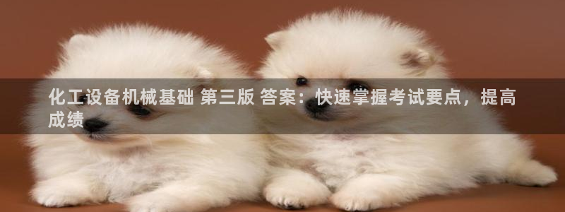 新航娱乐平台用户评价及反馈