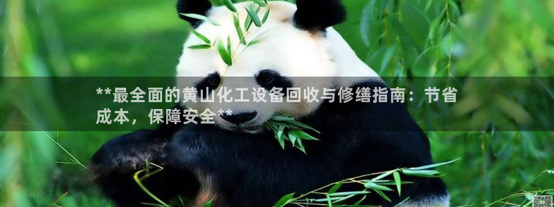 新航娱乐官网下载安装