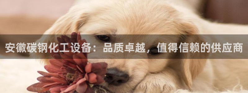 新航娱乐公司扣费流程详解表