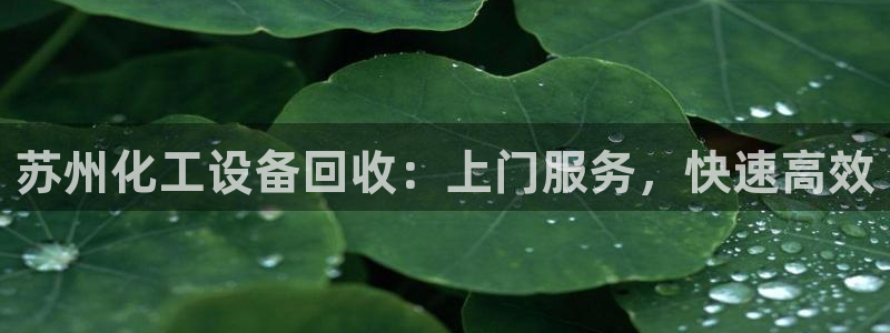 新航娱乐公司扣费流程详解表