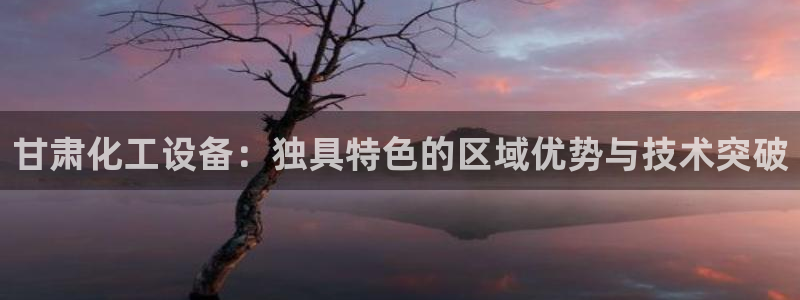 新航娱乐公司简介和历史背景分析