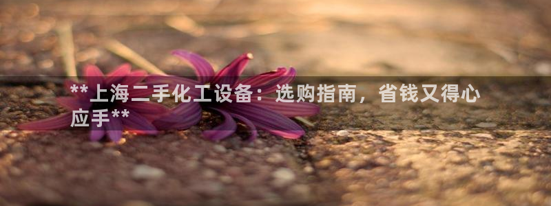 新航娱乐平台用户评价及反馈
