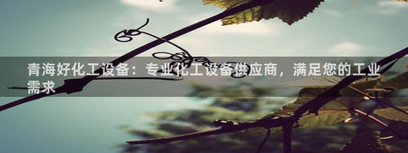 新航娱乐公司简介和历史背景介绍
