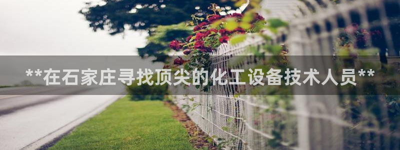 新航娱乐背后的老板是谁