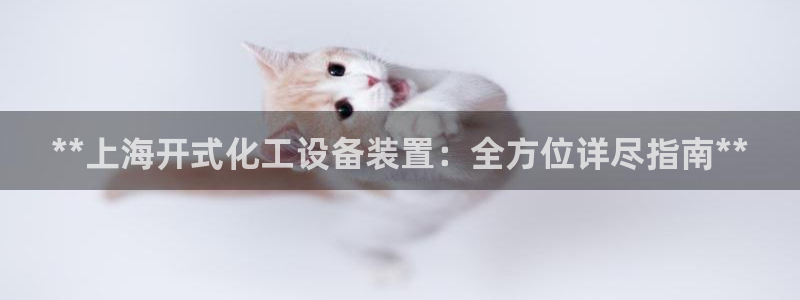 新航娱乐的员工工资福利及待遇