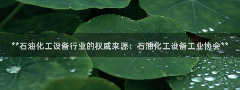 新航娱乐的员工工资福利及待遇如何