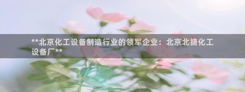 新航娱乐公司简介和历史背景分析