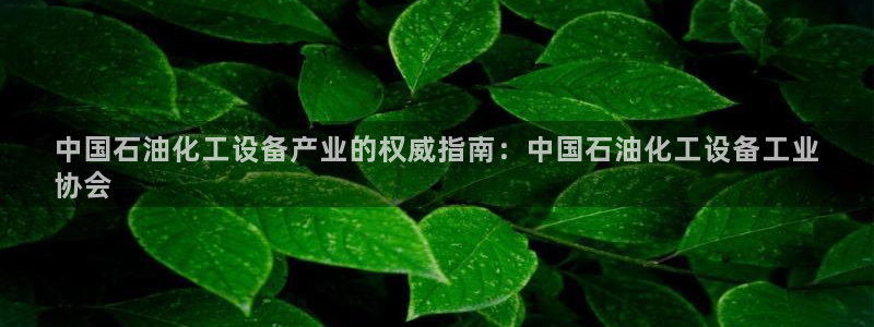 新航娱乐APP的最新版本更新内容
