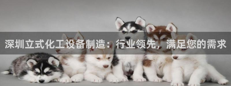 新航娱乐的会员权益与保障