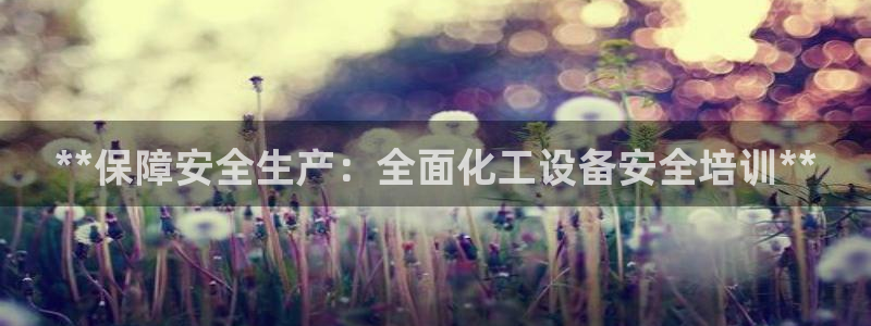 新航娱乐公司扣费流程详解视频：**保障安全生产：全