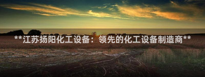 新航娱乐旗下艺人名单表：**江苏扬阳化工设备：领先的化工设备