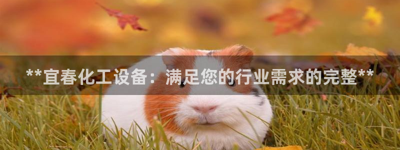 新航娱乐属于什么级别