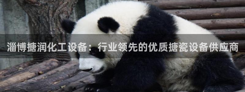新航娱乐的员工工资福利及待遇