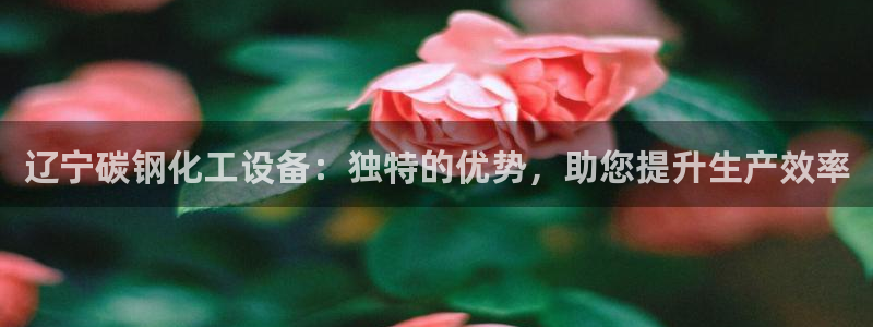 新航娱乐入网要求：辽宁碳钢化工设备：独特的优势，助