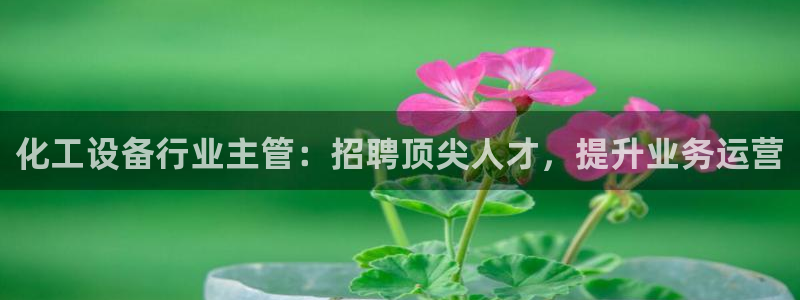 新航娱乐公司旗下艺人