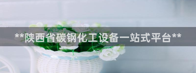 新航娱乐扣款后还能重新扣嘛：**陕西省碳钢化工设备