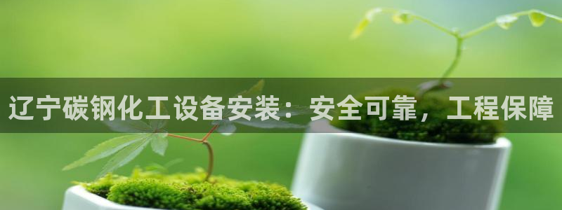 新航娱乐公司简介和历史背景