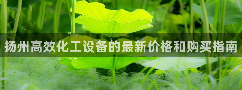 新航娱乐公司扣费流程详解图