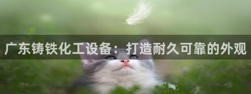 新航娱乐公司旗下艺人有哪些