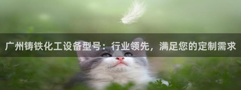 新航娱乐的会员权益与保障在哪：广州铸铁化工设备型号