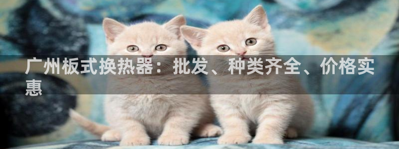 新航娱乐最新消息