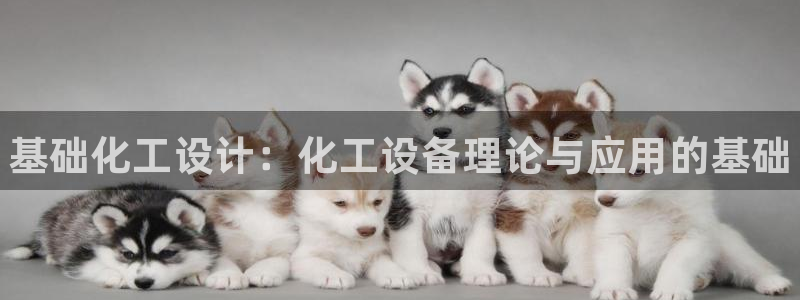 新航娱乐app官方免费下载安装：基础化工设计：化工