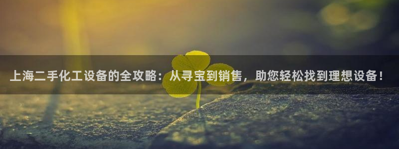 新航娱乐公司简介和历史背景介绍