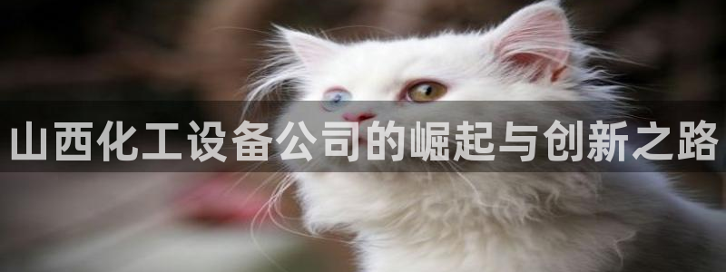 新航娱乐招商率合作 485624 怎么样