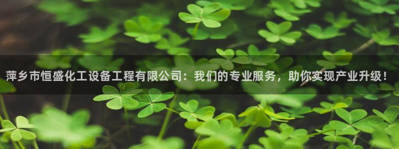 新航娱乐的创始人是谁：萍乡市恒盛化工设备工程有限公