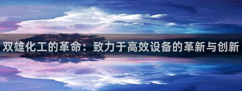 新航娱乐直开.中国手机版安卓版介绍：双雄化工的革命